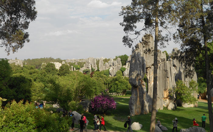 �T�����2