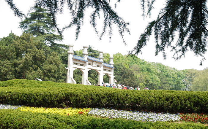 �T�����13